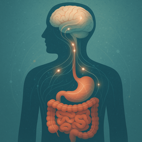 The Gut-Brain Axis: Unlocking the Powerful Connection Between Your Microbiome and Mental Wellness