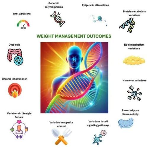 Beyond Calories: Mastering Metabolic Flexibility for Sustainable Weight Management and Lifelong Energy