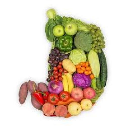 The Role of Gut Health in Overall Well-Being